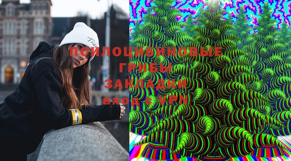 мет Ладушкин