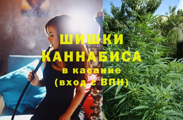 мет Ладушкин