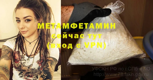 мет Ладушкин