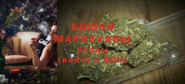 мет Ладушкин