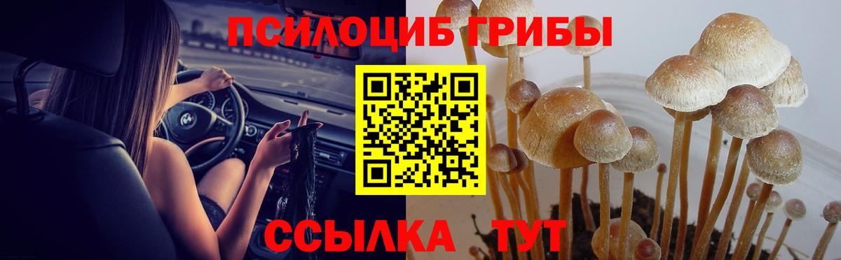 Галлюциногенные грибы прущие грибы Янаул